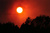 Fire wallow_tiny